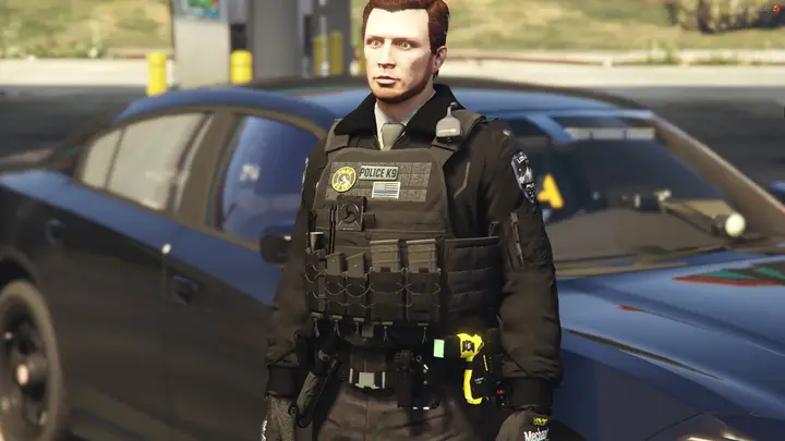 Preview of Police K9 Vest