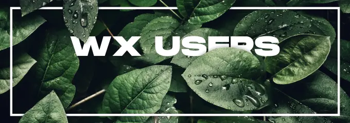 Preview of [FREE] [ESX] WX Users