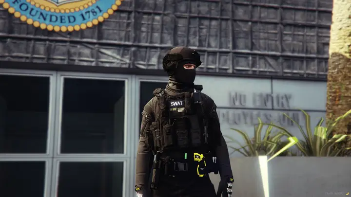 Preview of Swat Vest