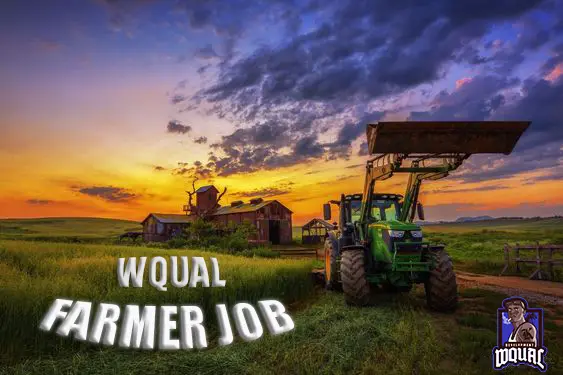 Preview of 🚜 [FREE] [ESX] Wqual Farmer Job