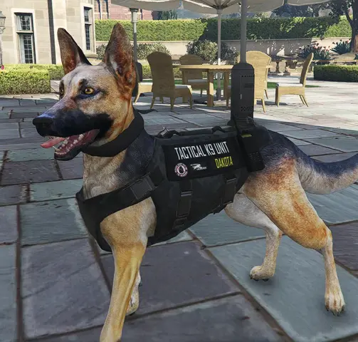 Preview of FREE | Rework/Edit | Animal Ped | FiveM Ready | German Shepherd / Belgian Malinois