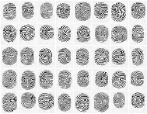 Preview of [Standalone / Library] Actual Fingerprints – real-looking prints from a seed