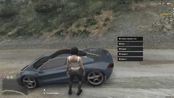Preview of [ESX] Car wash per Item